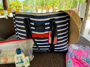 Read more about the article Scout Tote Bag: Perfect Beach Bag for Airline Travel